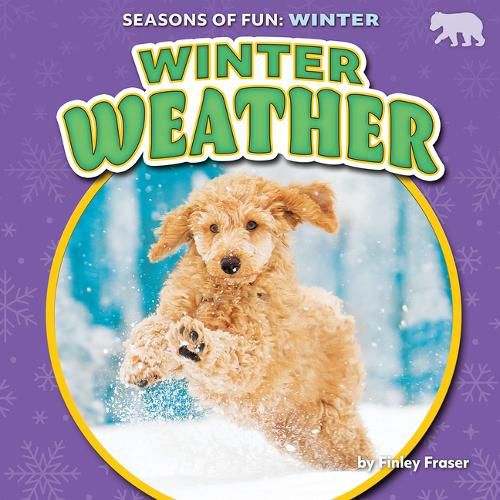 Cover image for Winter Weather