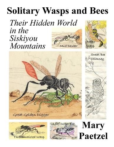 Cover image for Solitary Wasps and Bees