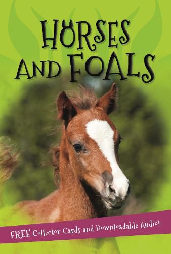 Cover image for It's all about... Horses and Foals