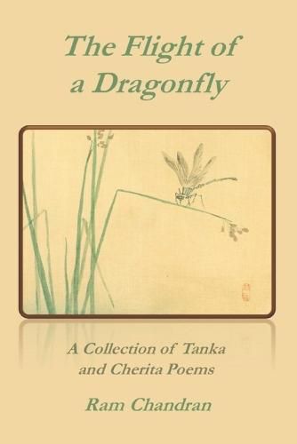 Cover image for The Flight of a Dragonfly