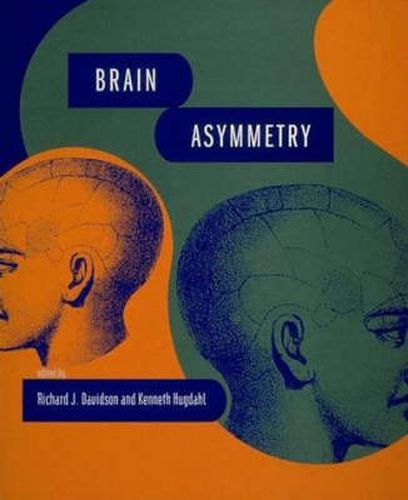 Cover image for Brain Asymmetry