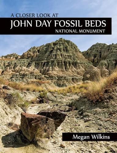 Cover image for A Closer Look at John Day Fossil Beds National Monument