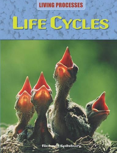 Cover image for Life Cycles