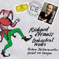 Cover image for Strauss R Orchestral Works 5cd