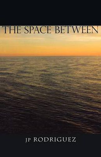 Cover image for The Space Between