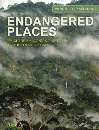 Cover image for Endangered Places