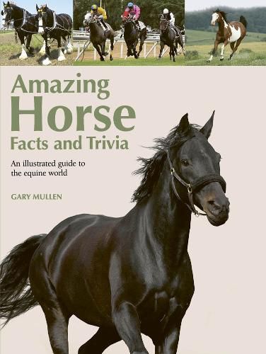 Cover image for Amazing Horse Facts and Trivia: An Illustrated Guide to the Equine World