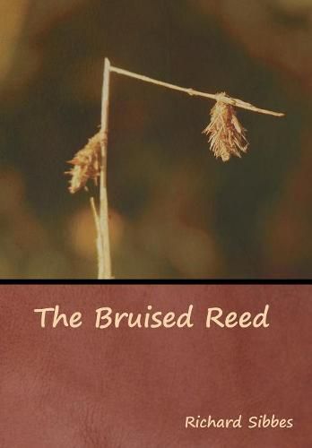 Cover image for The Bruised Reed