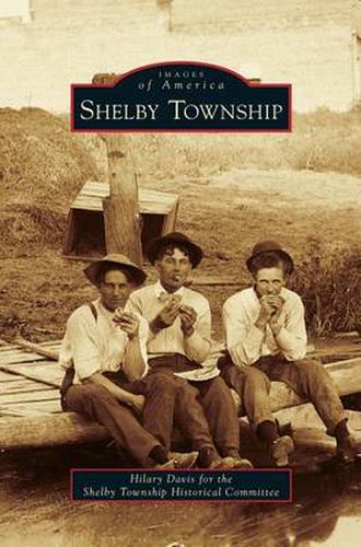 Cover image for Shelby Township