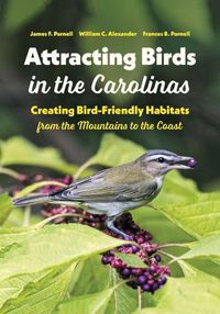 Cover image for Attracting Birds in the Carolinas: Creating Bird-Friendly Habitats from the Mountains to the Coast