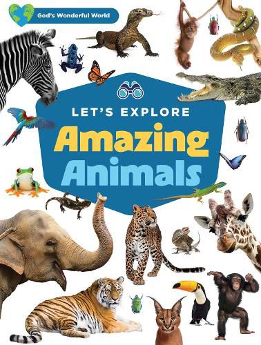 Cover image for Let's Explore Amazing Animals