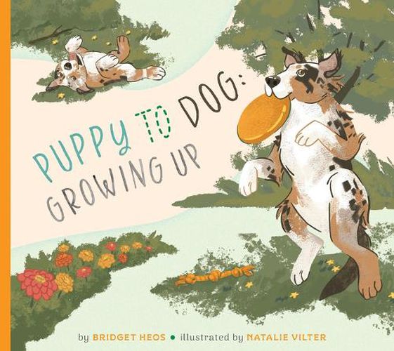 Cover image for Puppy to Dog: Growing Up