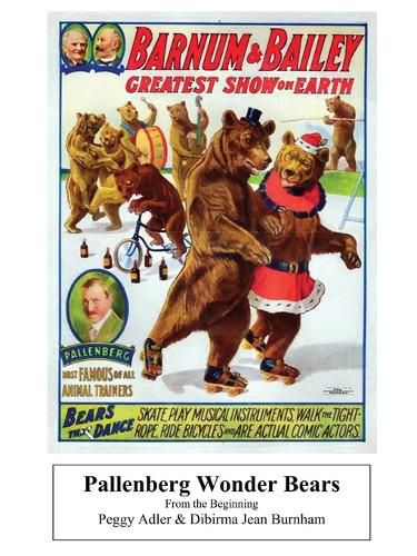 Cover image for Pallenberg Wonder Bears - From the Beginning