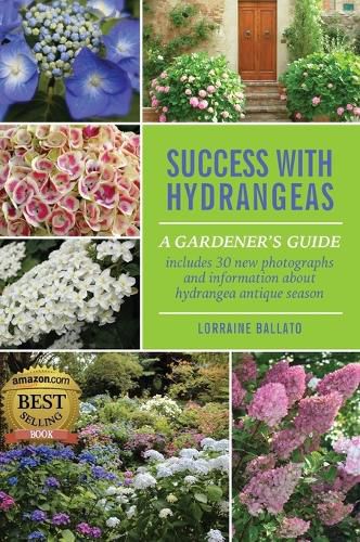 Cover image for Success With Hydrangeas