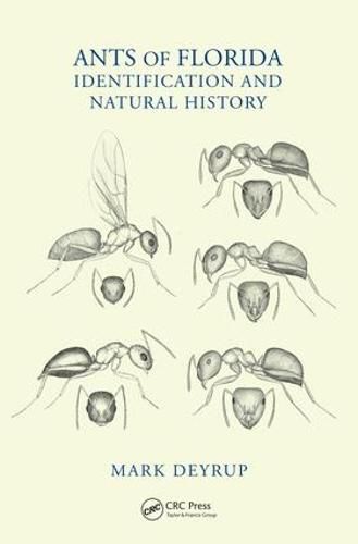 Cover image for Ants of Florida: Identification and Natural History