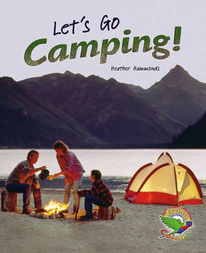 Cover image for Let's Go Camping!