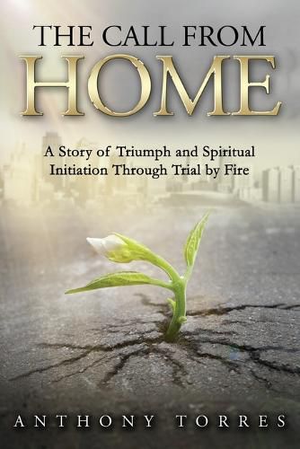 Cover image for The Call From Home