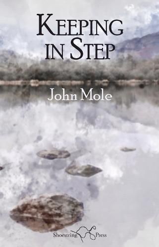 Cover image for Keeping in Step