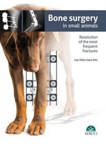 Cover image for Bone surgery in small animals