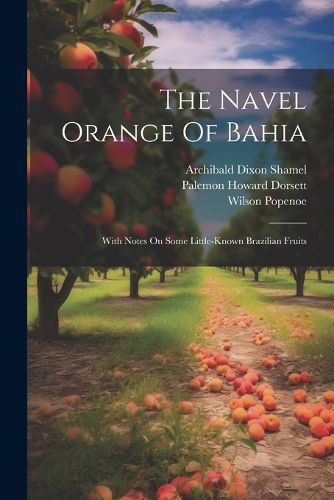 The Navel Orange Of Bahia