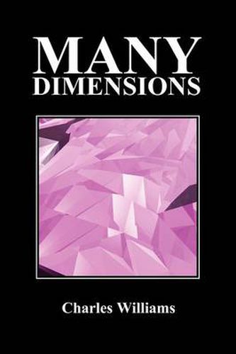 Cover image for Many Dimensions (Paperback, New Ed.)