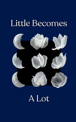 Cover image for Little Becomes A Lot