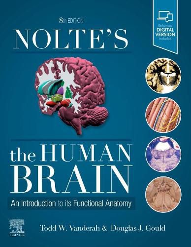 Cover image for Nolte's The Human Brain: An Introduction to its Functional Anatomy