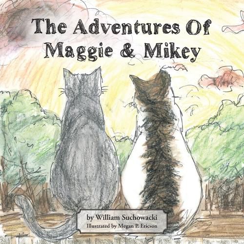 Cover image for The Adventures of Maggie and Mikey