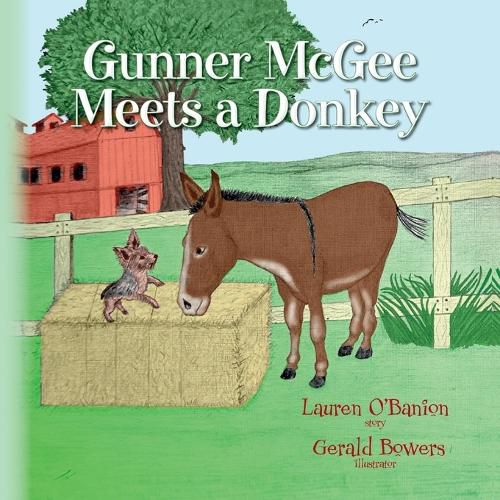 Cover image for Gunner McGee Meets a Donkey