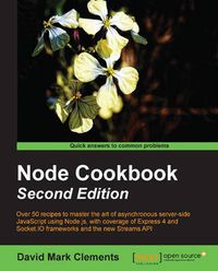 Cover image for Node Cookbook