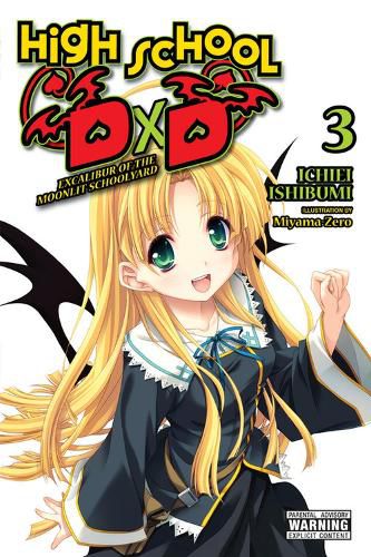 Cover image for High School DxD, Vol. 3 (light novel)