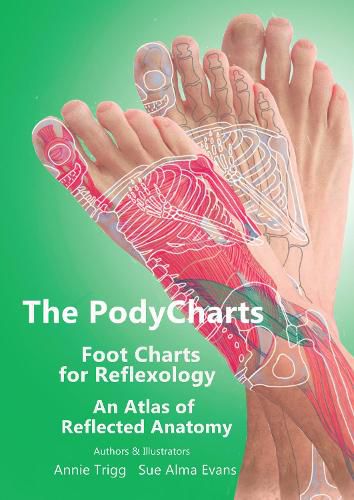 Cover image for The PodyCharts foot charts for reflexology: An atlas of reflected anatomy