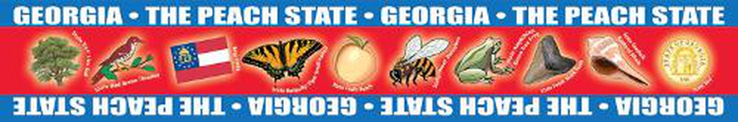 Cover image for Georgia Borders for Bulletin Boards