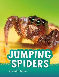 Cover image for Jumping Spiders
