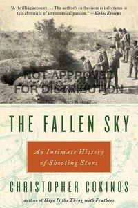 Cover image for The Fallen Sky: An Intimate History of Shooting Stars