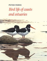 Cover image for Bird Life of Coasts and Estuaries