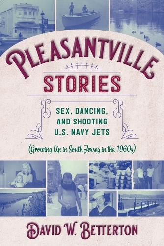 Cover image for Pleasantville Stories