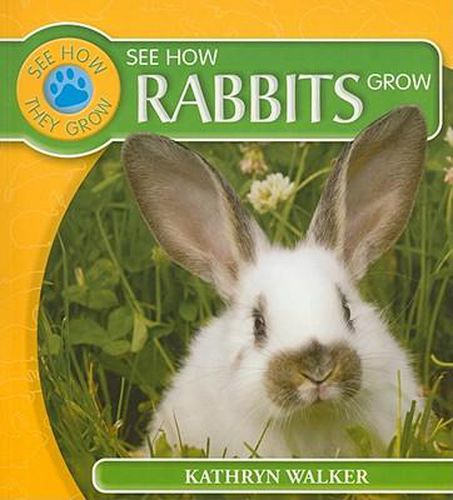 Cover image for See How Rabbits Grow