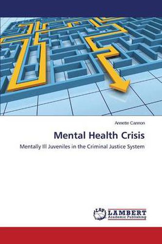 Cover image for Mental Health Crisis