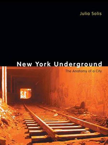 Cover image for New York Underground: The Anatomy of a City