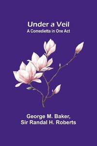 Cover image for Under a Veil