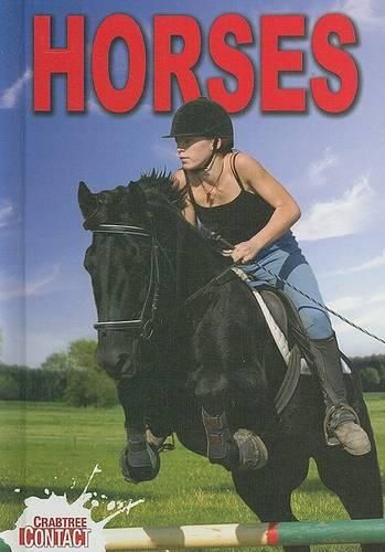 Cover image for Horses