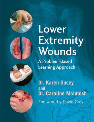 Cover image for Lower Extremity Wounds: A Problem Based Approach