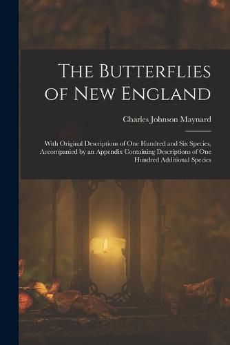 The Butterflies of New England