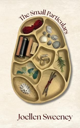 Cover image for The Small Particulars