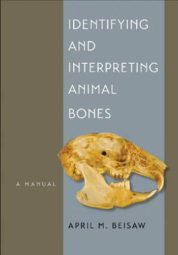 Cover image for Identifying and Interpreting Animal Bones: A Manual