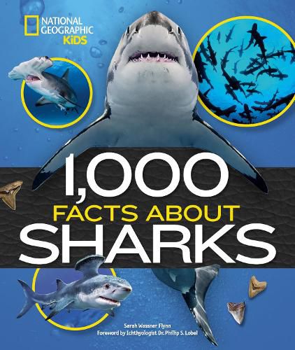 Cover image for 1,000 Facts About Sharks