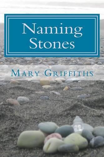 Cover image for Naming Stones