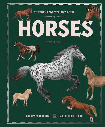 Cover image for Horses