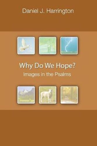 Why Do We Hope?: Images in the Psalms